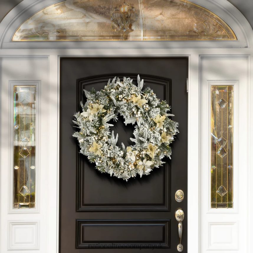 Greenery | National Tree Company 30\ Frosted Colonial Fir Wreath with Dual Color LED Cosmic Lights F2L4F317